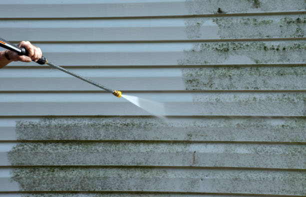 Best Fence Pressure Washing  in Holloman Af, NM