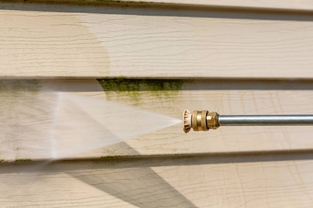 Best Local Pressure Washing Services  in Holloman Af, NM